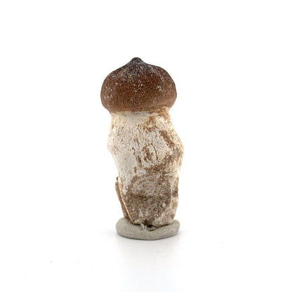 Globidens phosphaticus tooth with natural root from Cretaceous, Morocco (2.09") - FossilsAndMore