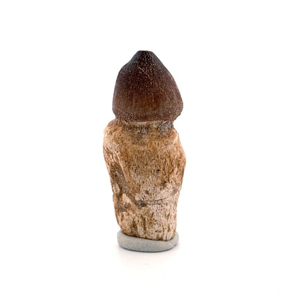 Globidens phosphaticus tooth with natural root from Cretaceous, Morocco (2.39") - FossilsAndMore