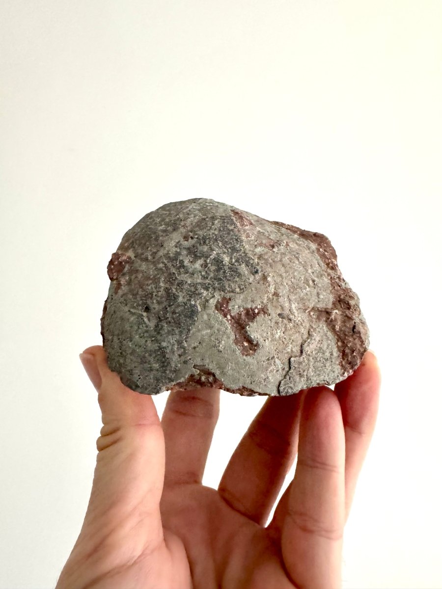 Hadrosaur Dinosaur Egg fossil (3.92") – Cretaceous, China - FossilsAndMore