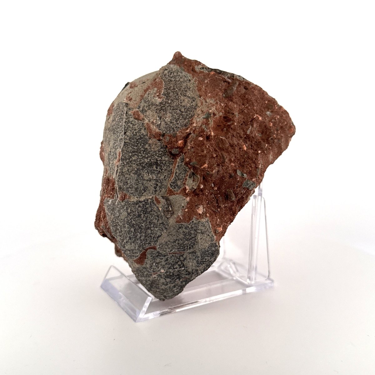 Hadrosaur Dinosaur Egg fossil (3.92") – Cretaceous, China - FossilsAndMore