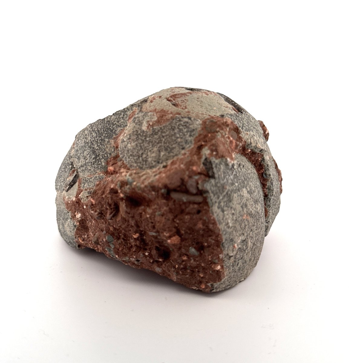 Hadrosaur Dinosaur Egg fossil (3.92") – Cretaceous, China - FossilsAndMore