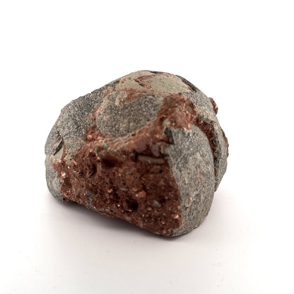 Hadrosaur Dinosaur Egg fossil (3.92") – Cretaceous, China - FossilsAndMore