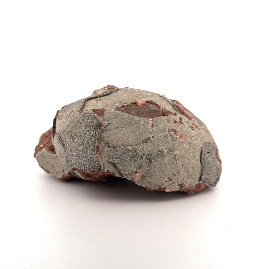 Hadrosaur Dinosaur Egg fossil (4.18") – Cretaceous, China - FossilsAndMore