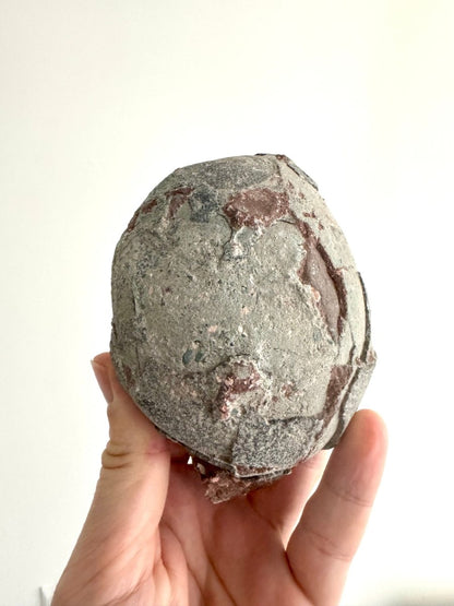 Hadrosaur Dinosaur Egg fossil (4.18") – Cretaceous, China - FossilsAndMore