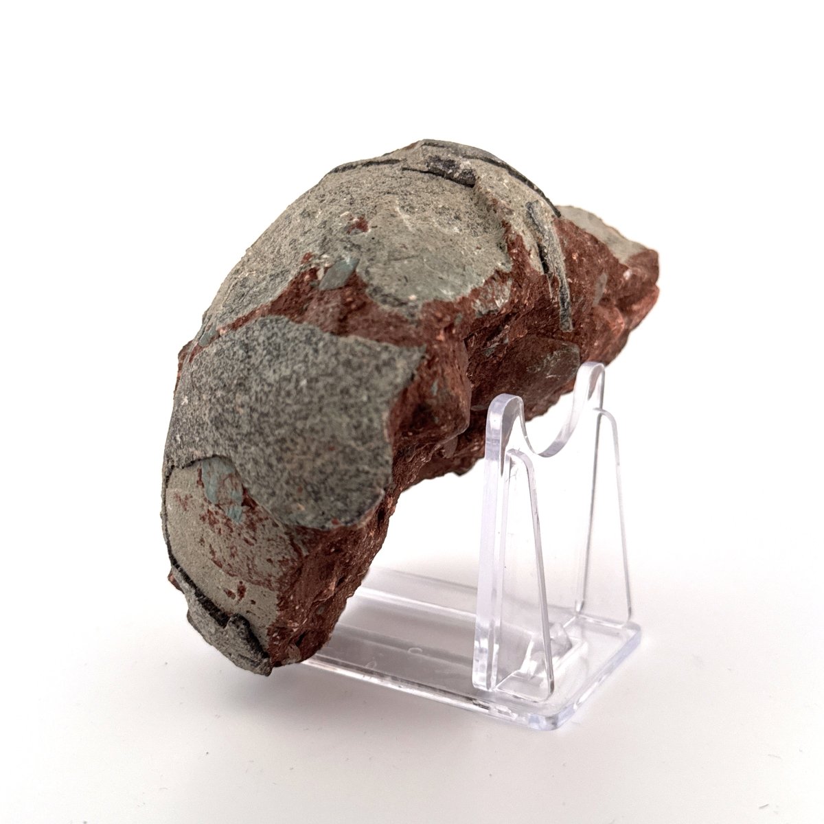 Hadrosaur Dinosaur Egg fossil (4.18") – Cretaceous, China - FossilsAndMore