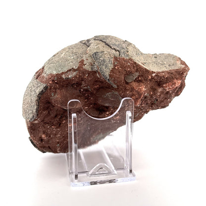 Hadrosaur Dinosaur Egg fossil (4.18") – Cretaceous, China - FossilsAndMore