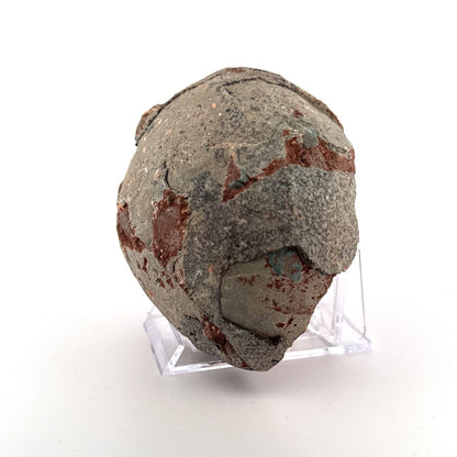 Hadrosaur Dinosaur Egg fossil (4.18") – Cretaceous, China - FossilsAndMore