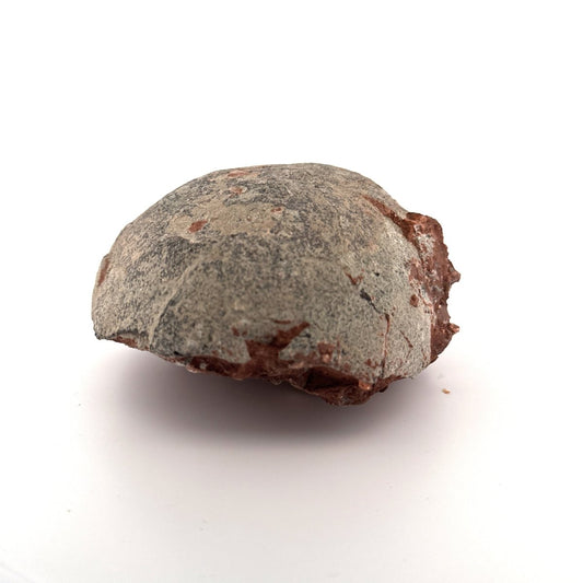 Hadrosaur Dinosaur Egg fossil (4.75") – Cretaceous, China - FossilsAndMore