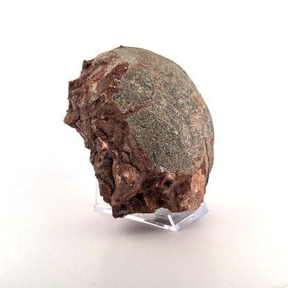 Hadrosaur Dinosaur Egg fossil (4.75") – Cretaceous, China - FossilsAndMore