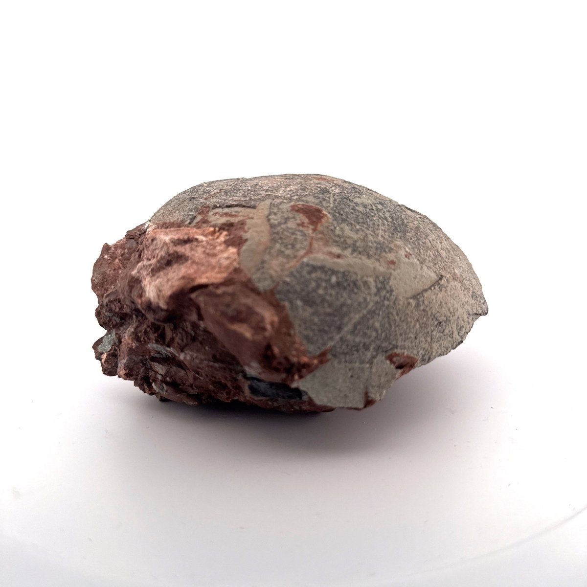 Hadrosaur Dinosaur Egg fossil (4.75") – Cretaceous, China - FossilsAndMore