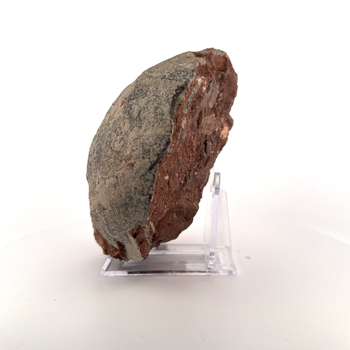 Hadrosaur Dinosaur Egg fossil (4.75") – Cretaceous, China - FossilsAndMore