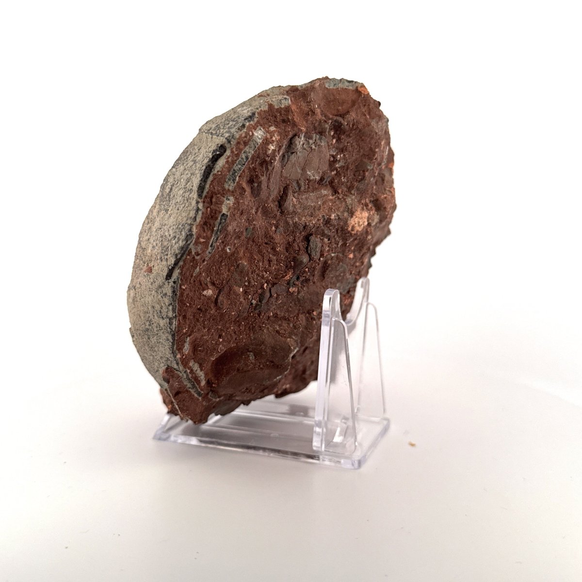 Hadrosaur Dinosaur Egg fossil (4.75") – Cretaceous, China - FossilsAndMore