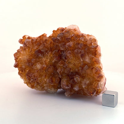 Heat treated Amethyst cluster (312 Grams) from Uruguay - FossilsAndMore