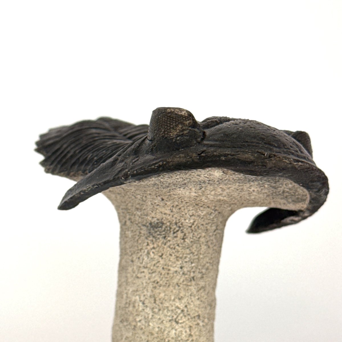 Hollardops Mesocristata Trilobite Fossil (2.65") – Devonian Period, Morocco - FossilsAndMore