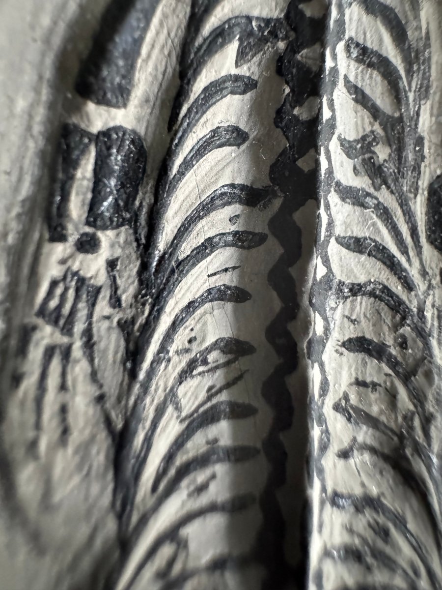 Keichousaurus hui Fossil Marine Reptile (5.65") – Triassic, China - FossilsAndMore