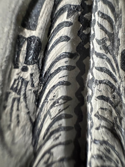 Keichousaurus hui Fossil Marine Reptile (5.65") – Triassic, China - FossilsAndMore