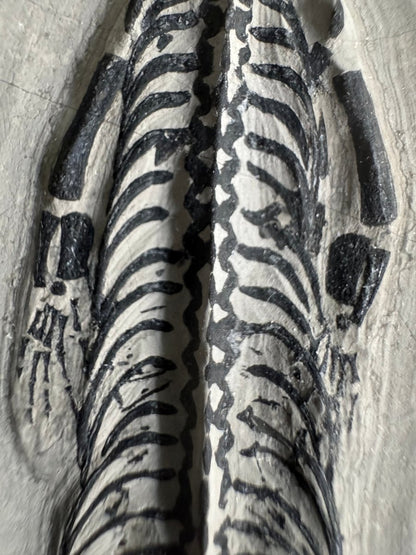 Keichousaurus hui Fossil Marine Reptile (5.65") – Triassic, China - FossilsAndMore