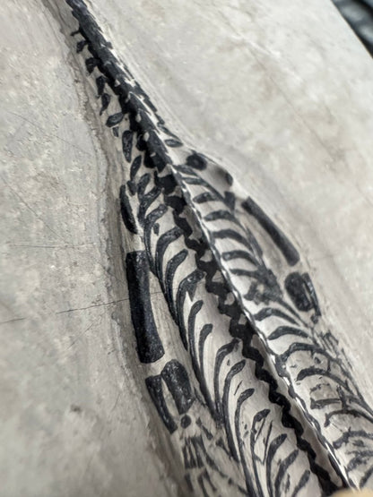 Keichousaurus hui Fossil Marine Reptile (5.65") – Triassic, China - FossilsAndMore