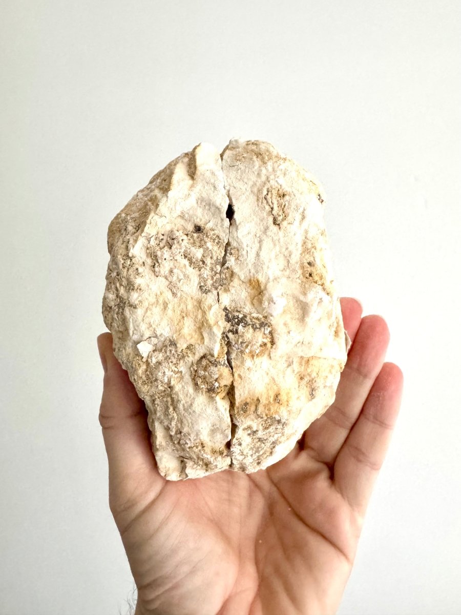 Large Calcite Geode from Morocco (1500 Grams) - FossilsAndMore