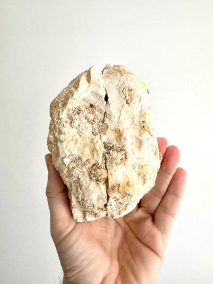 Large Calcite Geode from Morocco (1500 Grams) - FossilsAndMore