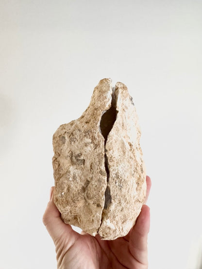 Large Calcite Geode from Morocco (1994 Grams) - FossilsAndMore
