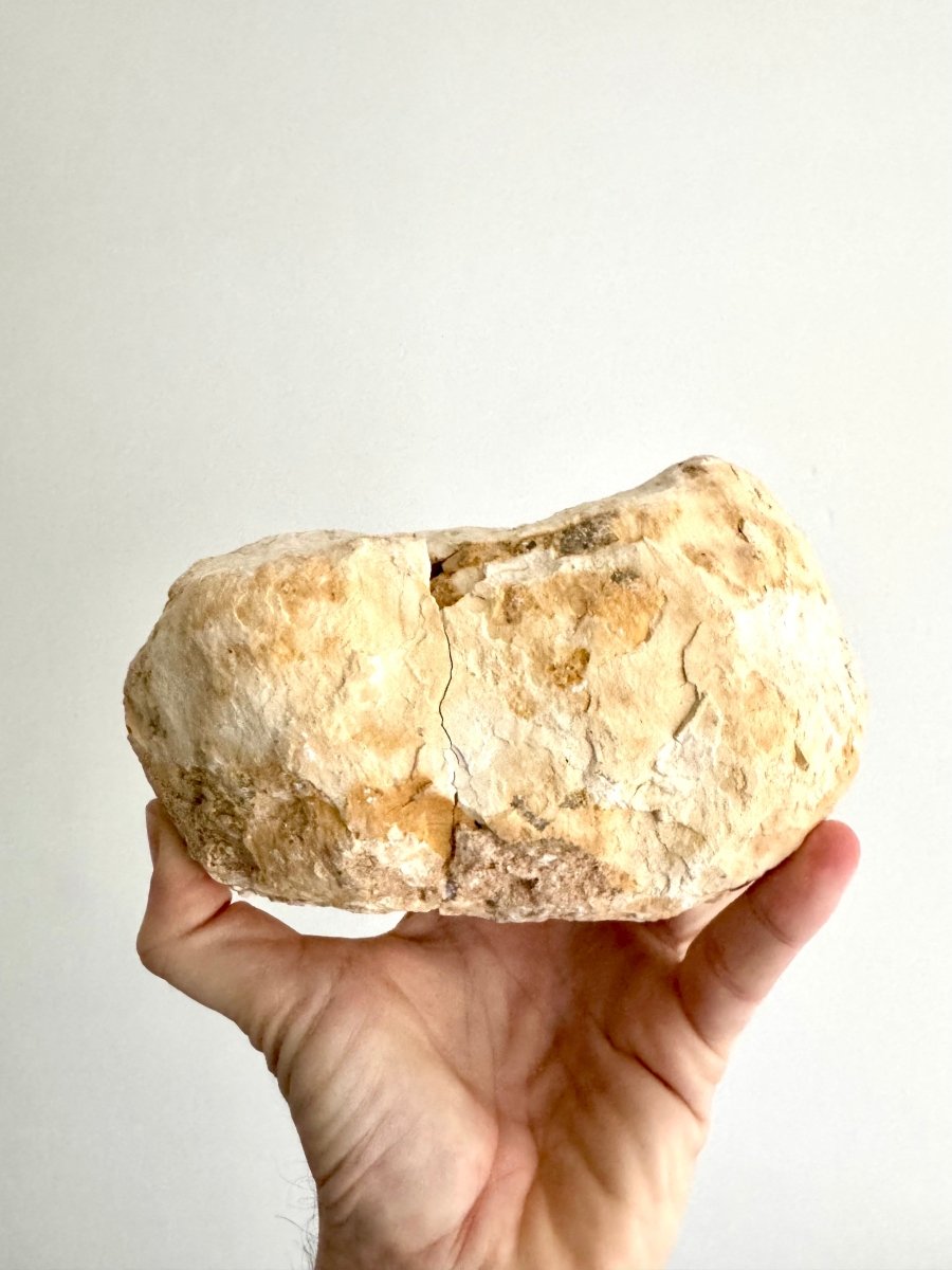 Large Calcite Geode from Morocco (2233 Grams) - FossilsAndMore