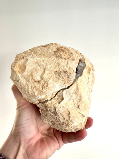 Large Calcite Geode from Morocco (2400 Grams) - FossilsAndMore