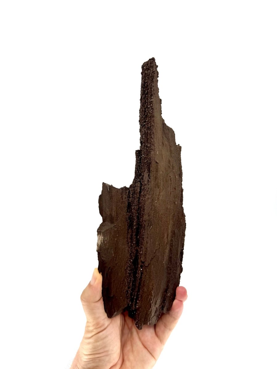 Large Permineralized Wood Covered In Druzy Quartz from Germany (611 Grams) - FossilsAndMore