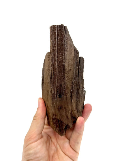 Large Permineralized Wood Covered In Druzy Quartz from Germany (669 Grams) - FossilsAndMore