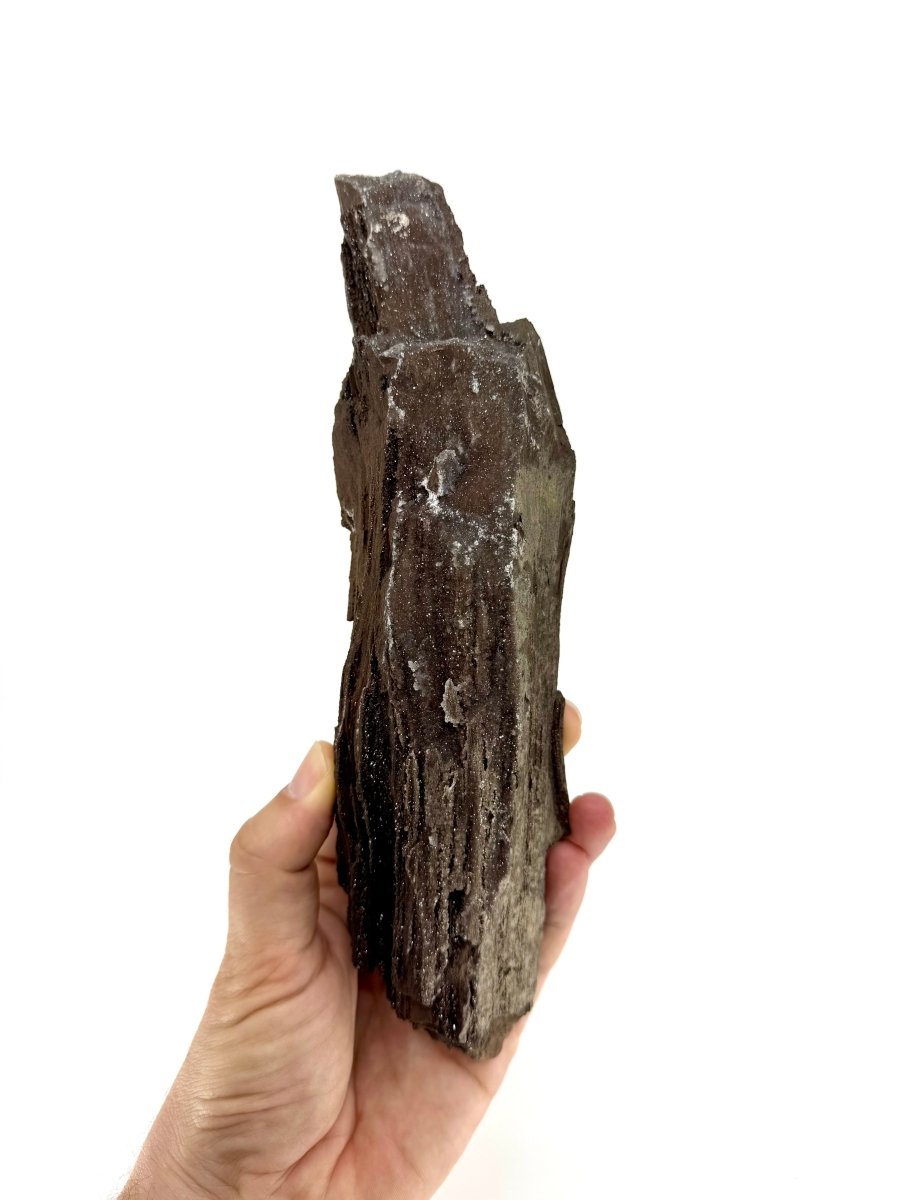 Large Permineralized Wood Covered In Druzy Quartz from Germany (759 Grams) - FossilsAndMore