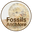 FossilsAndMore logo