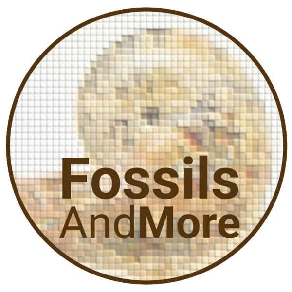 FossilsAndMore
