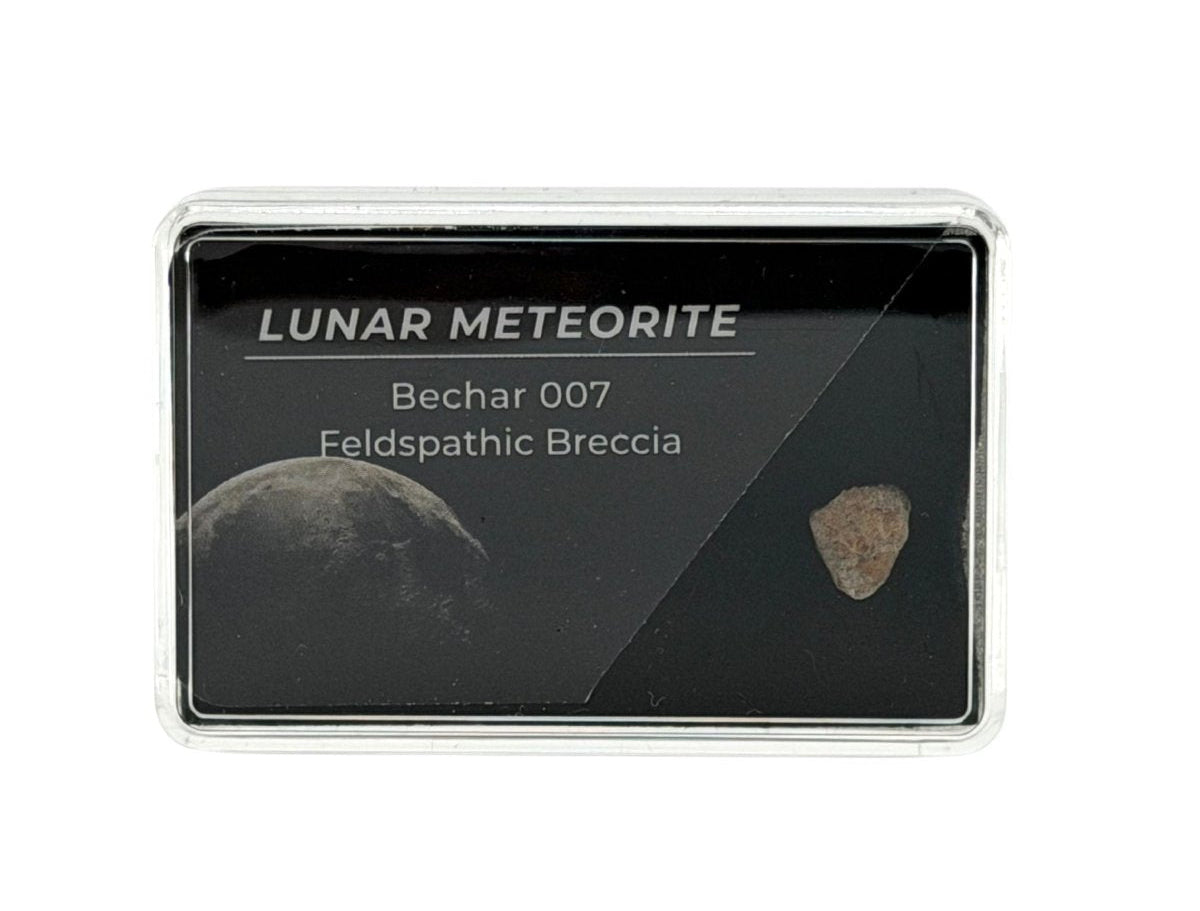 A small rectangular specimen box containing a lunar meteorite sample labeled 'LUNAR METEORITE Bechar 007 Feldspathic Breccia' on a black insert, photographed against a plain white background.