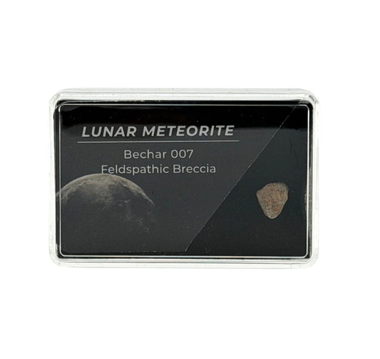 A small rectangular specimen box containing a lunar meteorite sample labeled 'LUNAR METEORITE Bechar 007 Feldspathic Breccia' on a black insert, photographed against a plain white background.