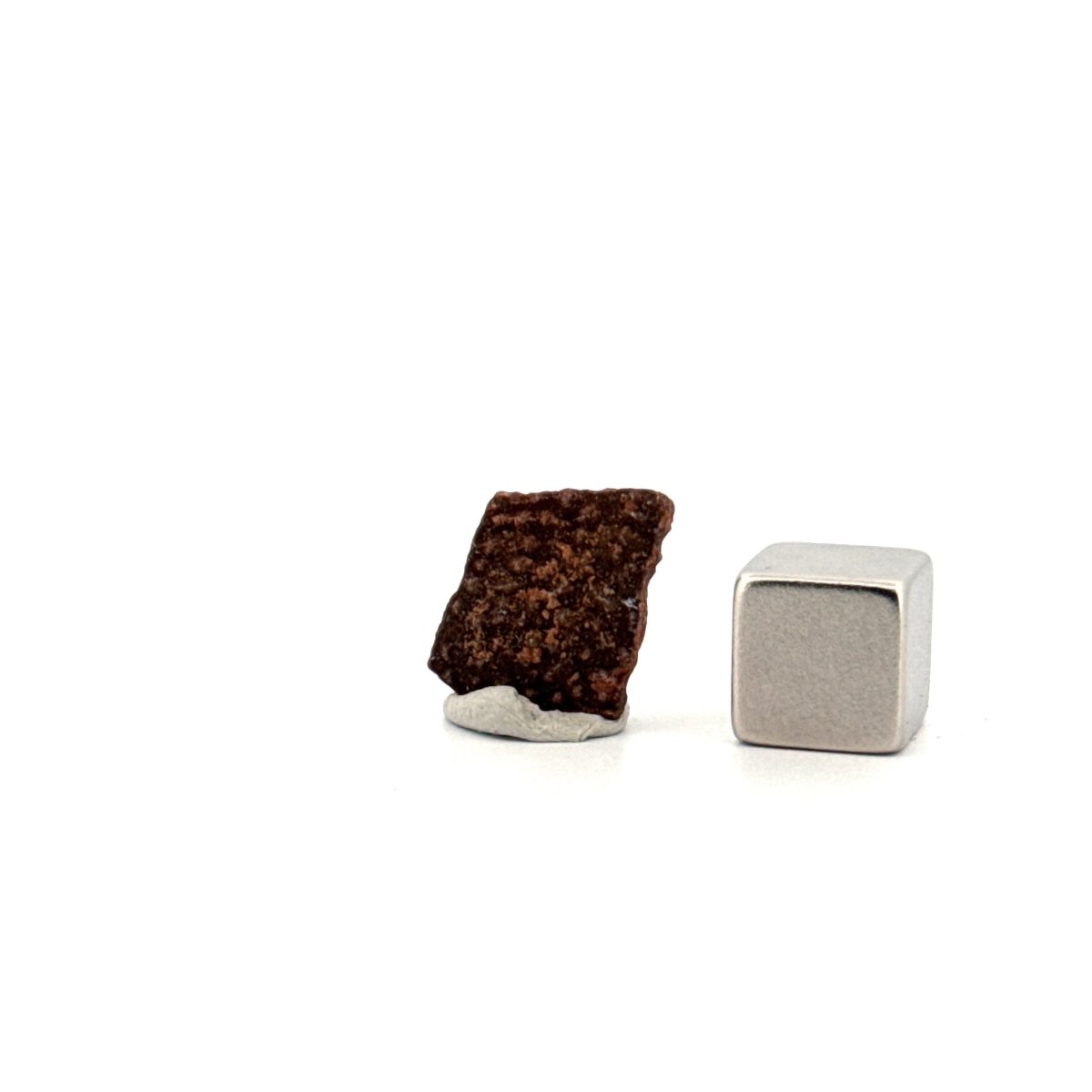 Oviraptor Species Eggshell fragment (0.67"), Dinosaur fossil from China - FossilsAndMore