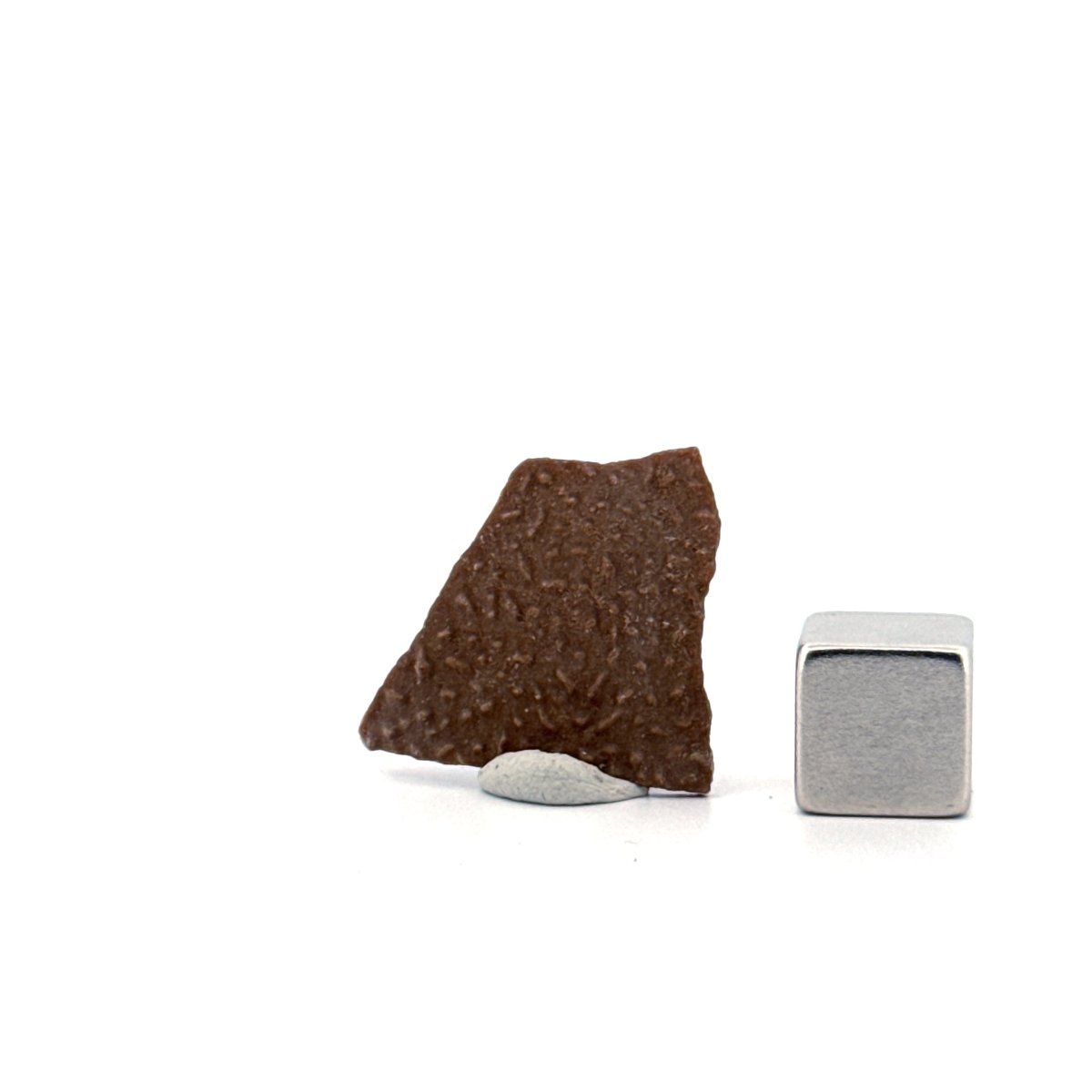 Oviraptor Species Eggshell fragment (1.02"), Dinosaur fossil from China - FossilsAndMore