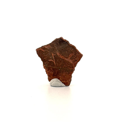 Oviraptor Species Eggshell fragment (1.04"), Dinosaur fossil from China - FossilsAndMore