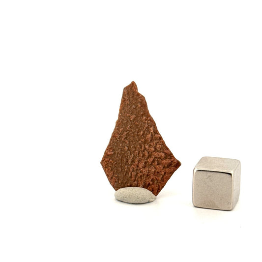 Oviraptor Species Eggshell fragment (1.12"), Dinosaur fossil from China - FossilsAndMore