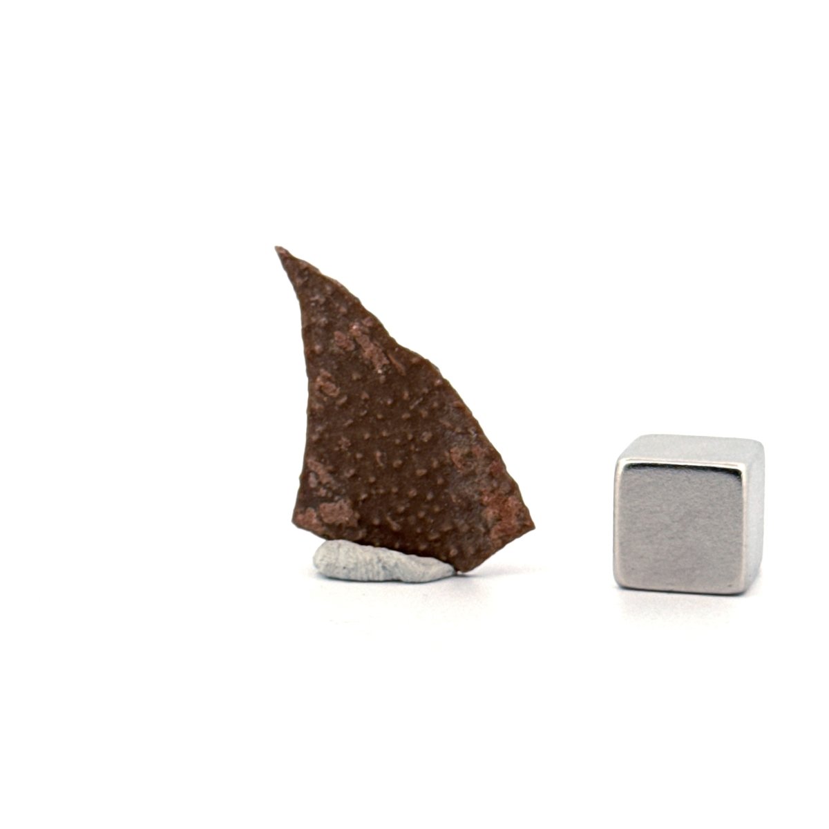 Oviraptor Species Eggshell fragment (1.13"), Dinosaur fossil from China - FossilsAndMore