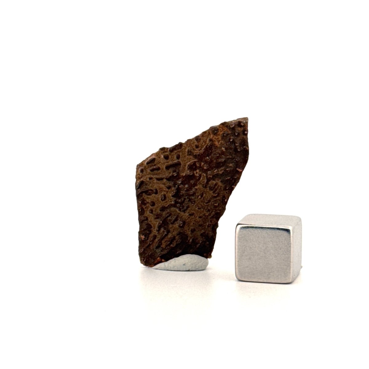 Oviraptor Species Eggshell fragment (1.23"), Dinosaur fossil from China - FossilsAndMore