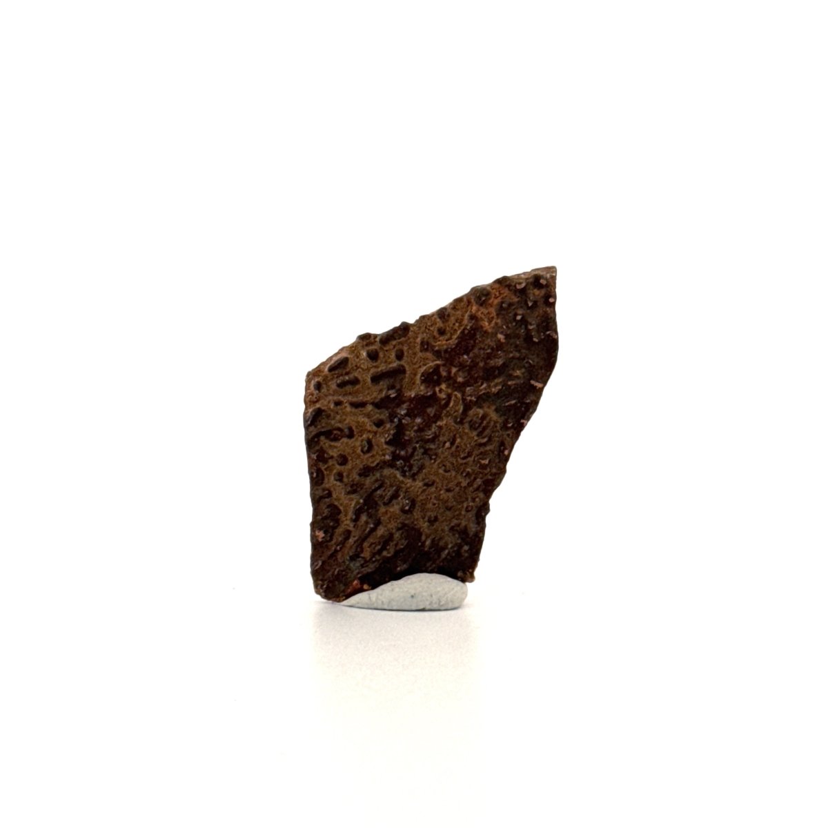 Oviraptor Species Eggshell fragment (1.23"), Dinosaur fossil from China - FossilsAndMore