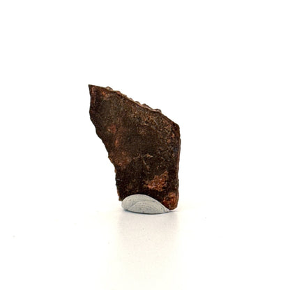 Oviraptor Species Eggshell fragment (1.23"), Dinosaur fossil from China - FossilsAndMore