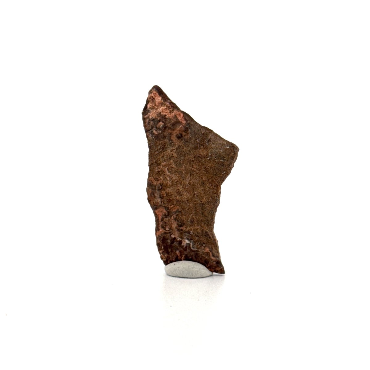 Oviraptor Species Eggshell fragment (1.34"), Dinosaur fossil from China - FossilsAndMore