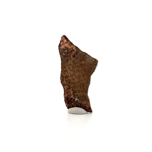 Oviraptor Species Eggshell fragment (1.34"), Dinosaur fossil from China - FossilsAndMore