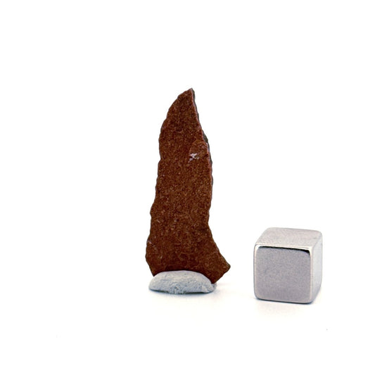 Oviraptor Species Eggshell fragment (1.34"), Dinosaur fossil from China - FossilsAndMore