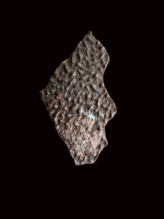 Oviraptor Species Eggshell fragment (1.43"), Dinosaur fossil from China - FossilsAndMore