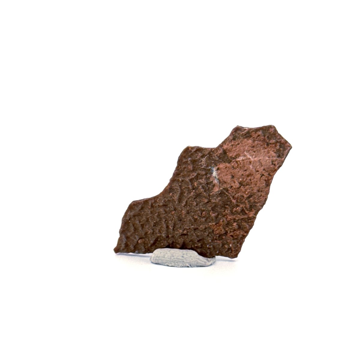 Oviraptor Species Eggshell fragment (1.43"), Dinosaur fossil from China - FossilsAndMore