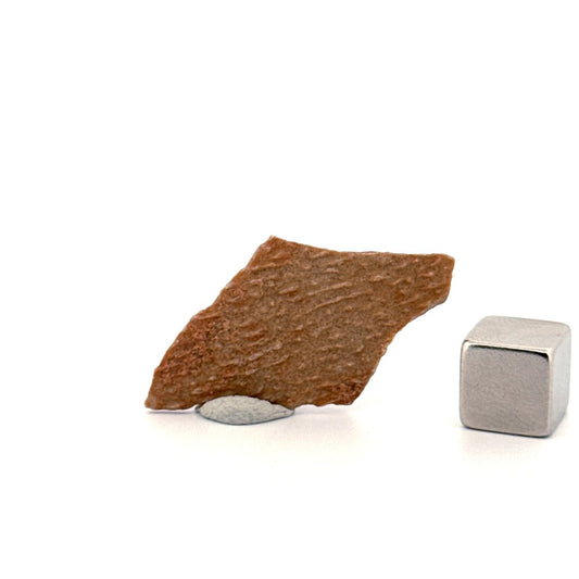 Oviraptor Species Eggshell fragment (1.44"), Dinosaur fossil from China - FossilsAndMore