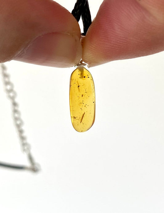 Pendant (925) on necklace with small milipede insect (Burmite amber) - FossilsAndMore