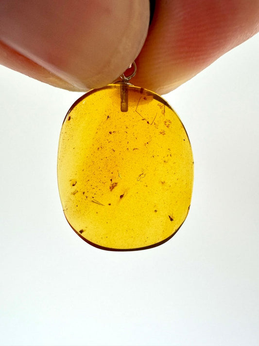 Pendant on necklace with small fly insect (Burmite amber) - FossilsAndMore